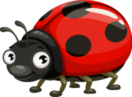 ladybird